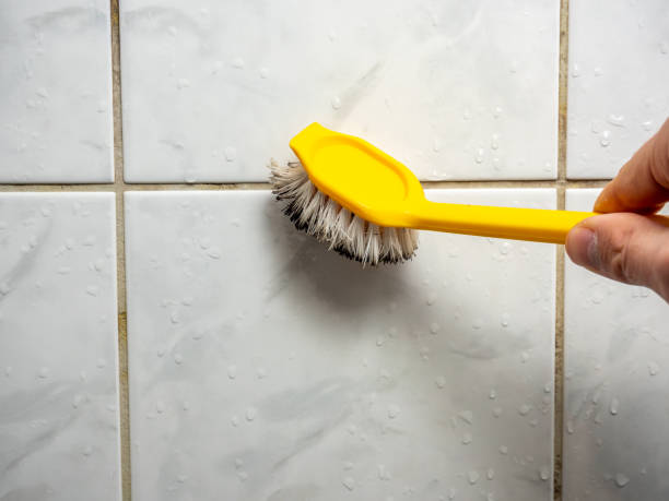 Best Home Mold Removal  in Landrum, SC