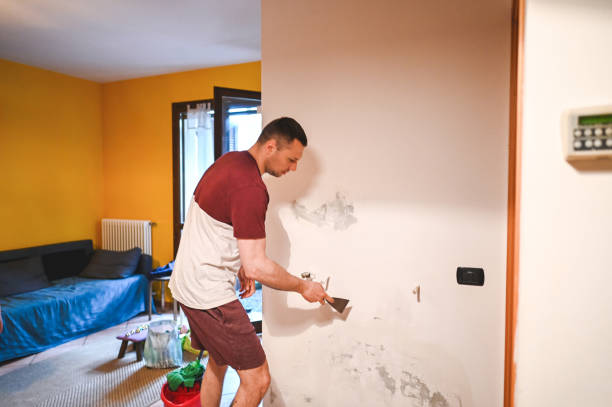 Best Attic Mold Removal  in Landrum, SC